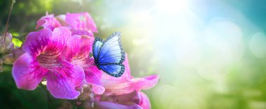 Dünya Çevre Günü konsepti: ilkbahar arka planında yaz mevsiminde güneş ışığının doğasında bir çayırda çiçekler ve kelebekler