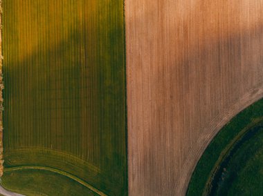 Hollanda 'daki tarlaların yukarıdan aşağı görüntüsünün hava aracı görüntüsü.