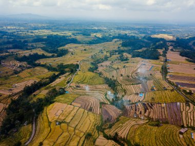 Aerial drone view at the UNESCO world heritage Jatiluwih rice terraces in Tabanan, Bali Indonesia