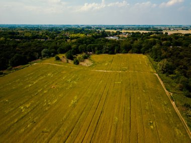 Hollanda 'daki güzel çim tarlasının hava aracı görüntüsü.