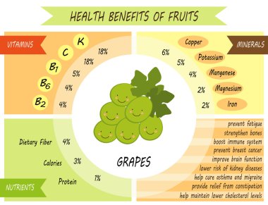 Infographic sayfa sağlık yararları