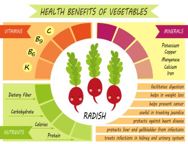 Infographic sayfa sağlık yararları