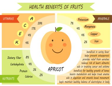 Infographic sayfa sağlık yararları