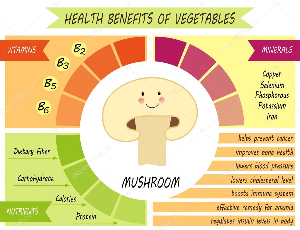 Health Benefits of Mushroom — Stock Vector © IShkrabal 106366964