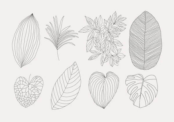 Minimalista botanikus vonal művészet levelek elemek elvont kollázs — Stock Vector