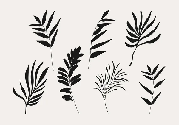 Ramo botânico minimalista com elementos de folhas para colagem abstrata — Vetor de Stock