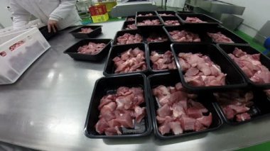 Workers in Meat Processing and Packing Factory
