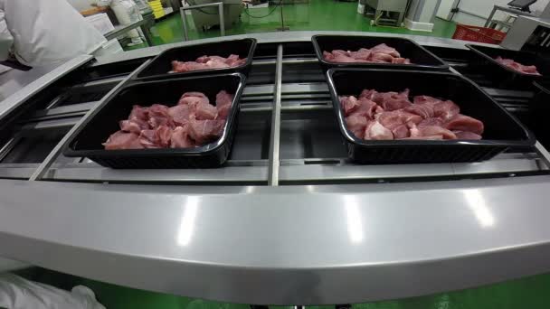 Fábrica de procesamiento y embalaje de carne — Vídeo de stock