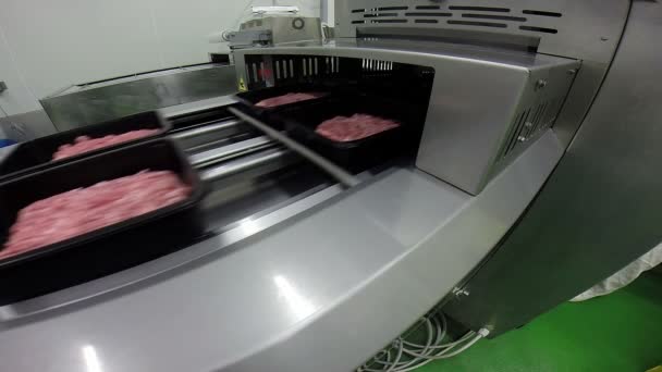 Cajas con carne de cerdo picada fresca en una cinta transportadora — Vídeos de Stock