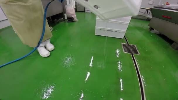 Igiene e disinfezione nell'industria della carne — Video Stock