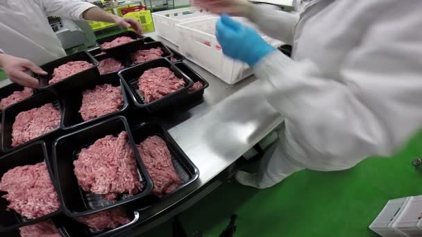 Embalaje de trabajadores carne de cerdo picada fresca en cajas — Vídeo de stock