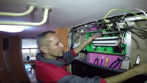 Tornavida ile iş yerinde yetenekli elektrikçi — Stok video