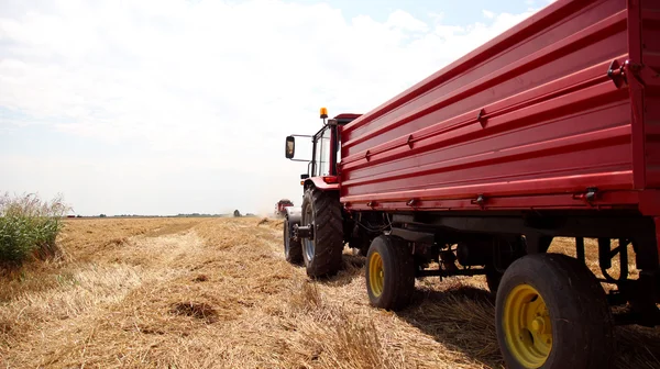 Traktor och kombinera på skördade fält — Stockfoto