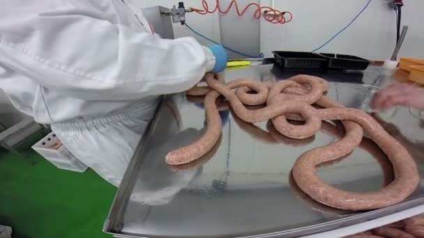 Butcher Making Fresh Sausages — Stock Video