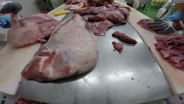 Kött bearbetning anläggning — Stockvideo