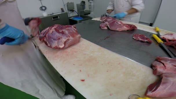 Dois açougueiros no trabalho na indústria da carne — Vídeo de Stock