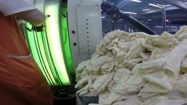 Les femmes sur la chaîne de production dans une usine textile — Video