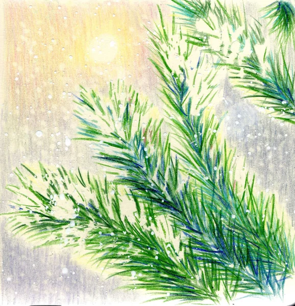 Colorfull Colored Pencils Illustration Fir Tree Brunches Snow Snowy Sunny — Stock Photo, Image