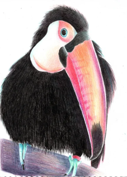 Цветной Карандашный Рисунок Туканской Птицы Розовым Носом Сидящей Ветке Изолированный — стоковое фото