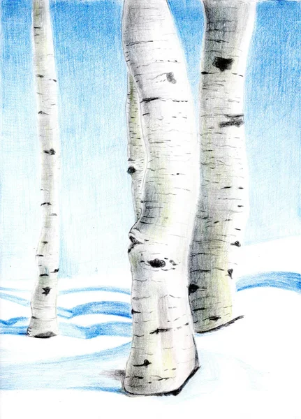 Χειμερινό Δάσος Τις Σημύδες Ήταν Ζωγραφισμένο Χρωματιστά Μολύβια — Φωτογραφία Αρχείου