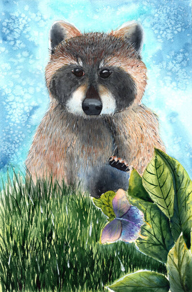 Watercolor illustration of a cute raccoon with butterfly on leaves and with high grass on a bright blue background