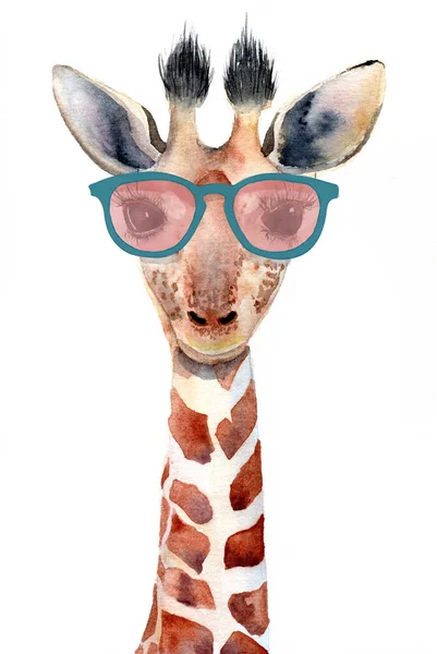 Watercolor Illustration Baby Giraffe Pink Green Eye Glasses — Stock Photo, Image