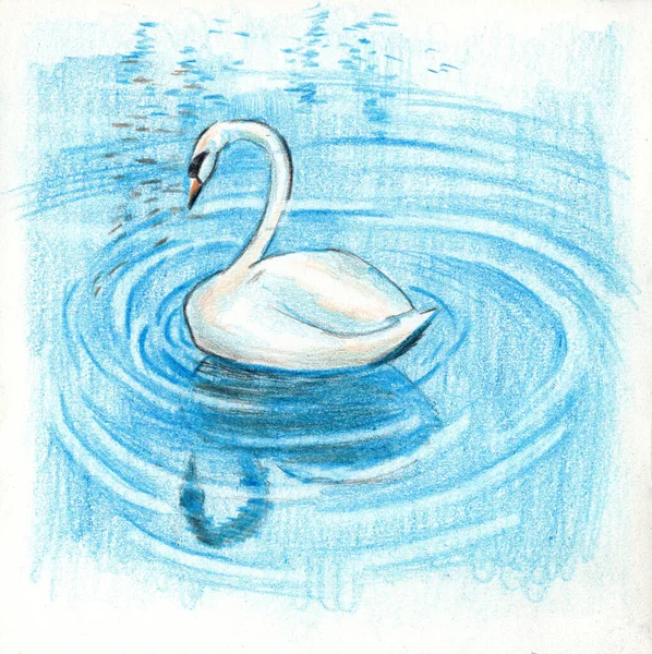 Ilustração Lápis Cor Único Cisne Branco Água — Fotografia de Stock