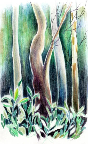 Χρώμα Μολύβι Εικονογράφηση Του Ένα Πολύχρωμο Πράσινο Δάσος Φύλλα Πρώτο — Φωτογραφία Αρχείου