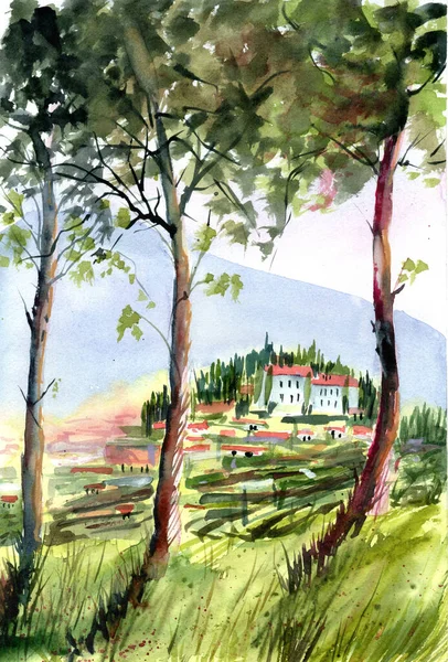 Illustrazione Acquerello Colorato Tre Pini Sulla Collina Toscana Tetti Cespugli — Foto Stock