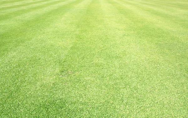 Golfplätze grüner Rasen — Stockfoto