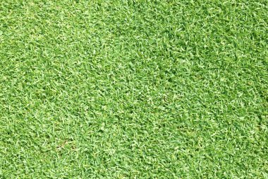 Golf sahaları yeşil çim