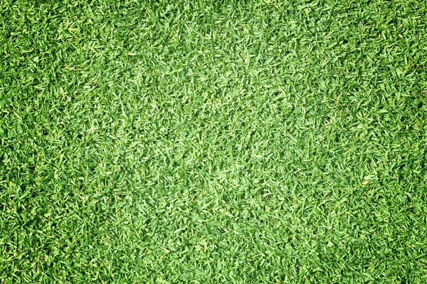 Поле для гольфу зелений газон — стокове фото