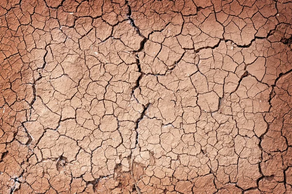 La sécheresse, les fissures du sol — Photo