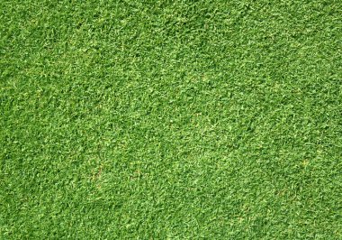 Golf sahaları yeşil çim