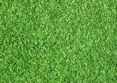 Golf sahaları yeşil çim 