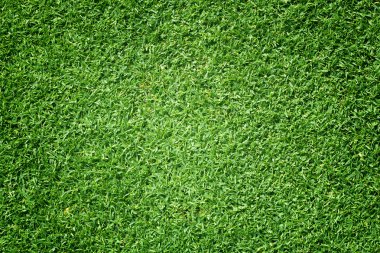 Golf sahaları yeşil çim