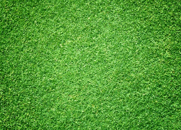 Campos de golf césped verde —  Fotos de Stock