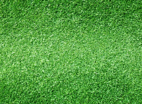 Golf Courses green lawn — Stock Photo, Image