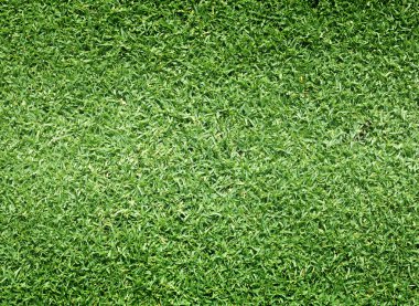 Golf sahaları yeşil çim