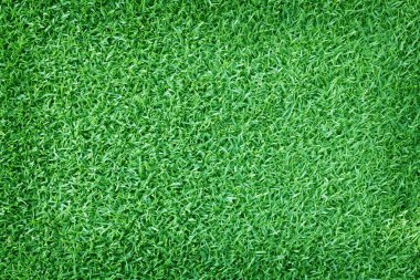 Golf sahaları yeşil çim