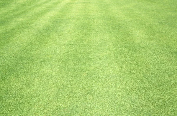 Golfbanor grön gräsmatta — Stockfoto