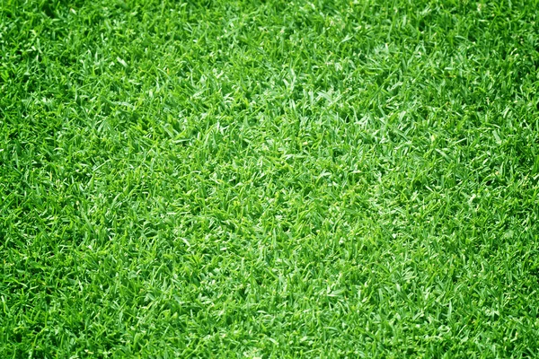 Golfbanor grön gräsmatta — Stockfoto