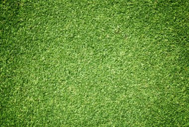 Golf sahaları yeşil çim