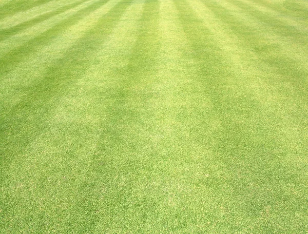Pola golfowe zielony trawnik — Zdjęcie stockowe