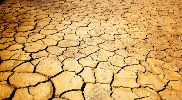 Ground Brown Caused Drought Global Warming — Stock Photo, Image