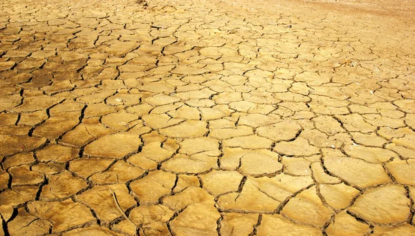 Suelo Marrón Causado Por Sequía Calentamiento Global — Foto de Stock