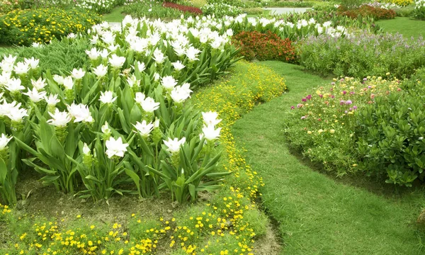 Güzel Doğal Çiçek Bahçesi Park Tatilleri — Stok fotoğraf