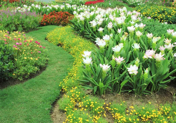 Jardim de flores — Fotografia de Stock