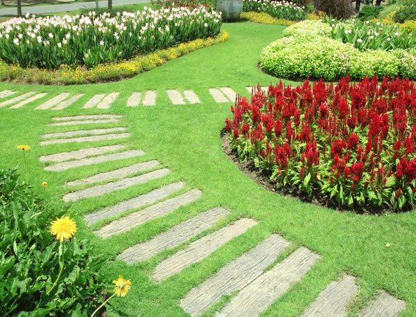 Jardim de flores — Fotografia de Stock