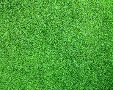 Golf yeşil çim arka plan 